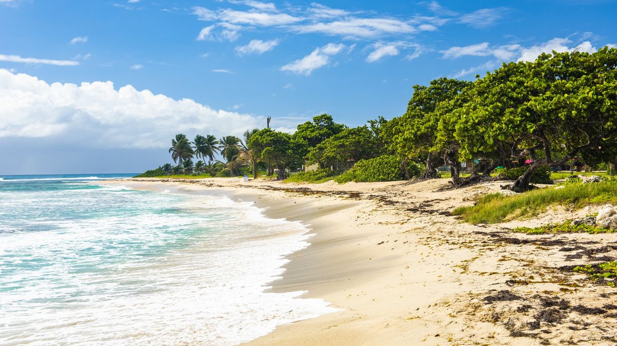 V Karibiku prodávají soukromý ostrov. Stojí jako větší byt v Praze